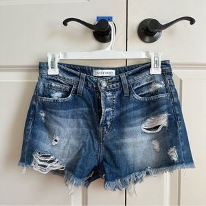 Flying Monkey Ripped Jean Shorts Size 24
